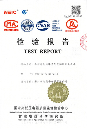 检验报告RM6-12-F/125-31.5
